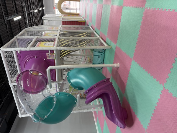 Multi-Level Indoor Playground & Spiral Slide